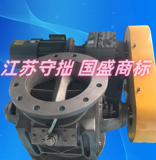 防卡旋转阀-颗粒/片状/块状物料