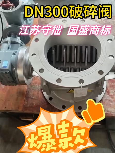 DN300破碎阀_守拙