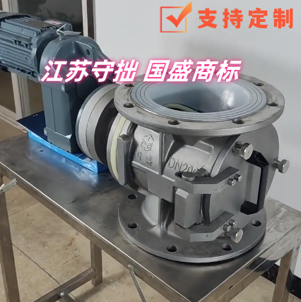 DN200侧开-特氟龙法兰-尼龙叶轮_守拙