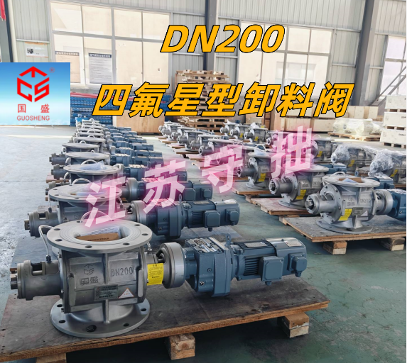 DN200-四氟-江苏守拙